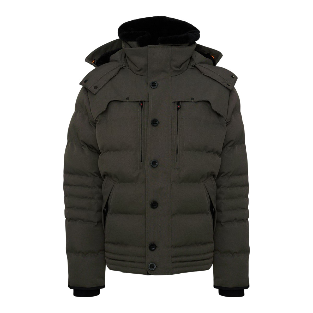 Jacket SNOB - ELEPHANT
