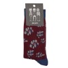 Socks  - BORDEAUX